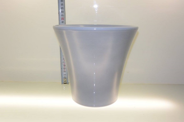 742 20 ORCHID - POT